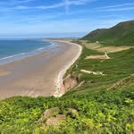 carrie beeches - @carriebeeches - Instagram