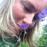 Carrie Beeson - @beesoncarrie - Instagram