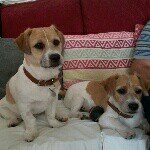 carolyn biggs - @carriebiggs1 - Instagram