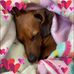 Carrie Brewer - Facebook
