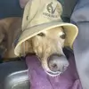 carrie Brewer - @carrie.brewer2 - TikTok
