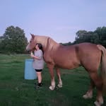 Carrie Brewer - @carrieandwendy - Instagram