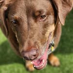 Carrie Brewer - @clbrew530 - Instagram