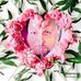 Carrie Brewer - Facebook