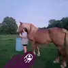 Carrie Brewer - @carrie.brewer45 - TikTok