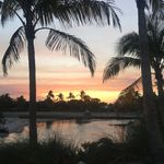 Carrie Brewster - @carriebrews - Instagram