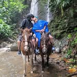Carrie Brewster - @carrie_2970 - Instagram