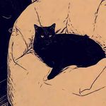 CatzMeow - @carriebrewster - Instagram