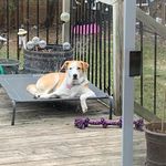 Carrie Bryan - @carebear0465 - Instagram
