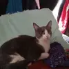 Carrie Byers - @carrie.byers19 - TikTok