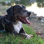 Carrie Carmichael - @carrie.carmichael.31 - Instagram