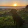 carrie_carmichael - @carrie_carmichael - TikTok