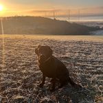 Carrie Carmichael - @carmichael.carrie - Instagram