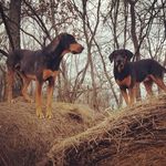 Carrie Carmichael Bryant - @clbryant10 - Instagram