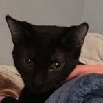 Carrie Carpenter - @animals_life_c03 - Instagram