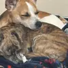 carriechadwick70 - @carrie.chadwick - TikTok