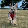 christophercarrie82 - @christophercarrie82 - TikTok