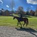 Caroline Clancy - Facebook