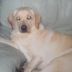 Carrie Clancy - Facebook