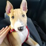 Carrie Collins - @carriecollins1964 - Instagram