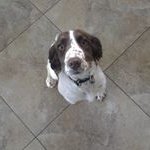Carrie Collins - @collins.carrie - Instagram