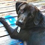 Carrie Cook - @carrie_cook8 - Instagram
