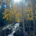 Carrie Cooke - @cdacooke - Instagram