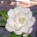 Karii Dalinger-lencina - Facebook