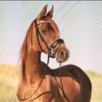 Carrie De Vries - @carrie.devries.14 - Instagram