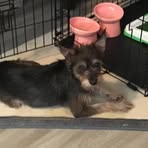 Carrie DeVries - Facebook