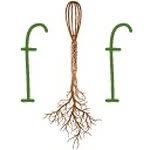 Carrie DeWitt - @foodfacesblog - Instagram