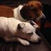 Carrie Dickson - Facebook
