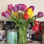 Carrie Dickson-Wiese - @dicksonwiese - Instagram