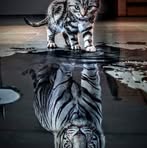 Carolyn Diffenderfer - Facebook
