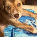 Carrie Dobson - Facebook