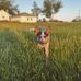 Carrie Dotson - Facebook