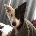 Carrie Duda - Facebook
