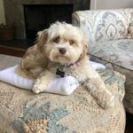Carrie Duncan - @carrieduncan266 - Instagram