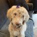 Carrie Eichman - Facebook