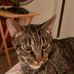 Carrie Eichman - Facebook