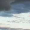 Carrie Field - @carrie.field8 - TikTok