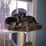 Carrie Field - @field_mom - Instagram