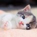 Carrie Fore - Facebook