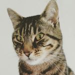 carrie foreword, UK - @carrieforeword - Instagram