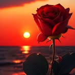 Grassi Chiara - Facebook