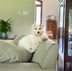 Carrie Hauser Rainey - Facebook
