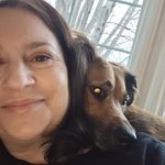 Carrie Platten Liebhauser - @carrieliebhauser - Instagram