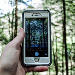 Cases and Screens - @hausercarrie - Instagram
