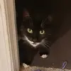 carriehebert8 - @carriehebert8 - TikTok