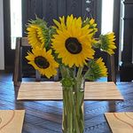 Carrie Hester - @cahester1970 - Instagram